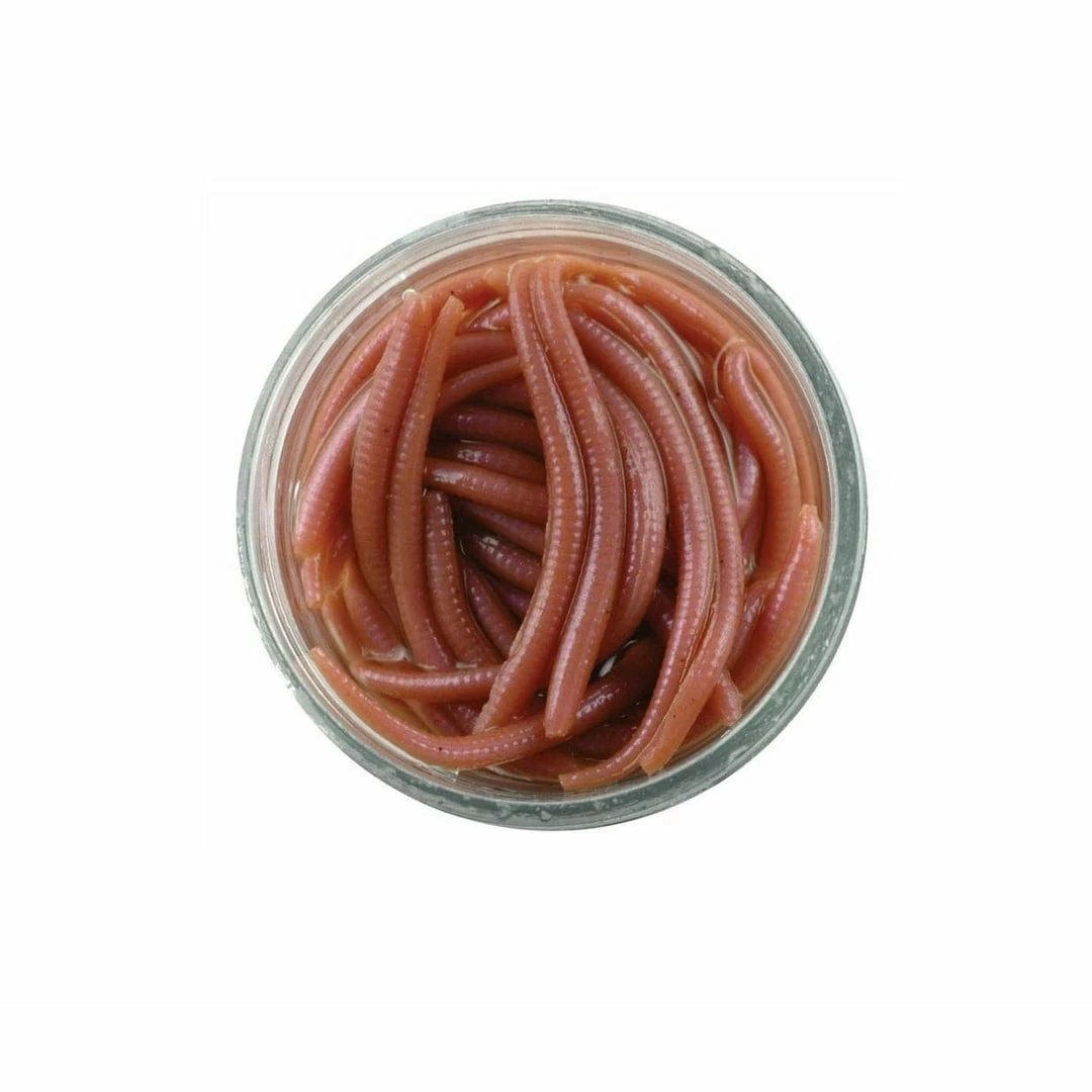 Berkley Gulp Alive Angle Worm 3cm Natural - 1140586 3 Berkley Gulp Alive Angle Worm 3cm Natural - 1140586