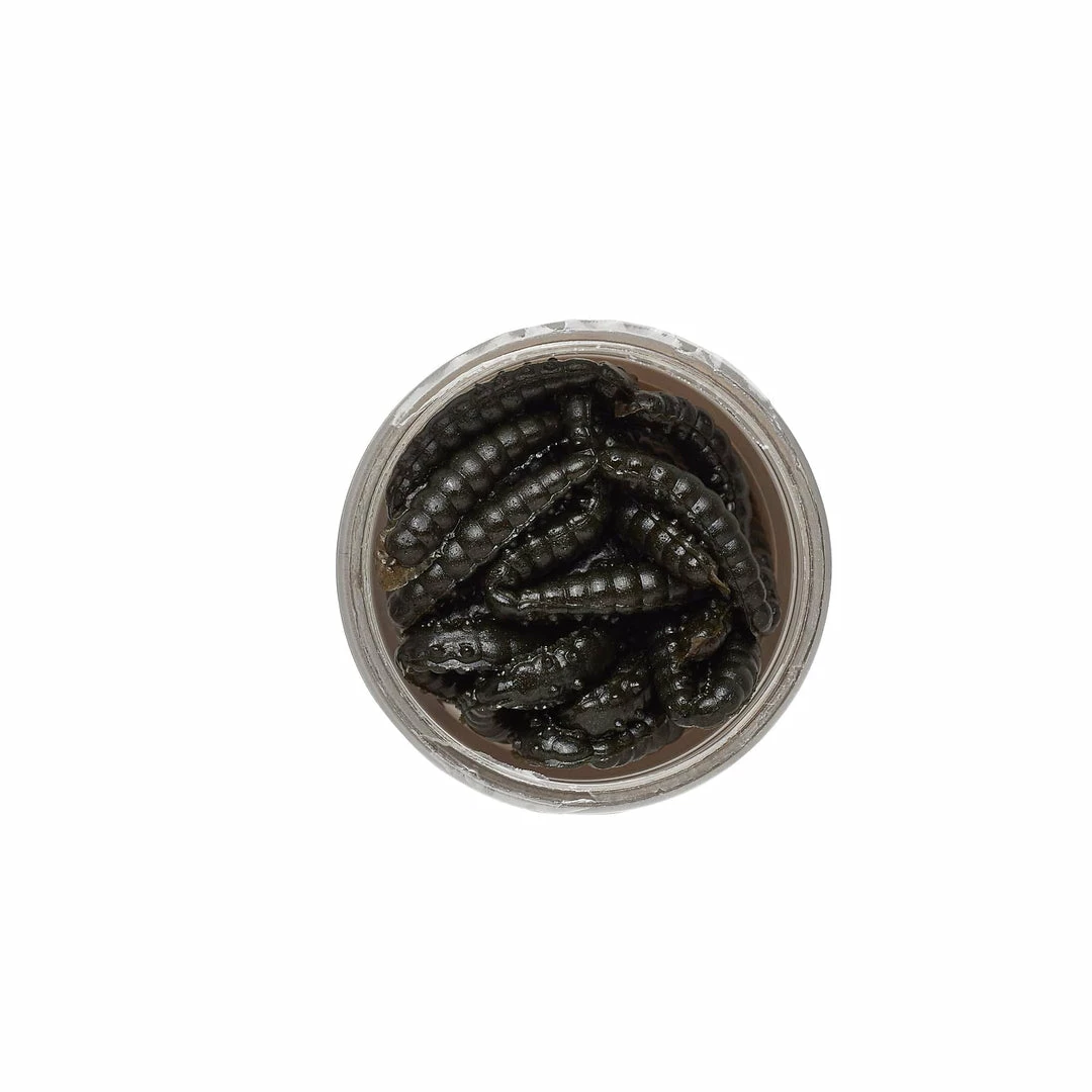Silikonske Varalice Berkley PowerBait Power Honey Worm 2.5cm 4 Silikonske Varalice Berkley PowerBait Power Honey Worm 2.5cm