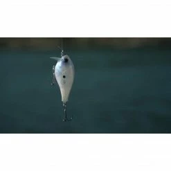 Berkley WakeBull 6cm Vobler Varalice