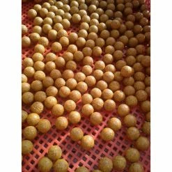 Gotove Boile Boilie Academy - Shelf Life Boila 2.5kg - 18mm