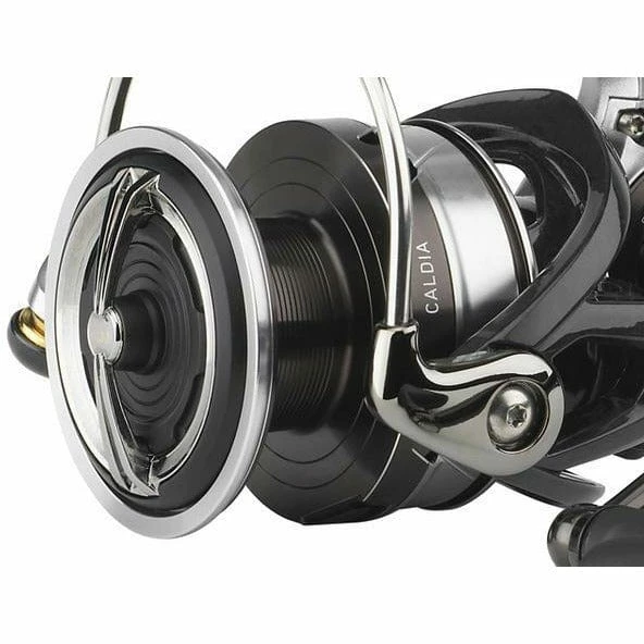 Role DAIWA 18 Caldia LT 6 Role DAIWA 18 Caldia LT