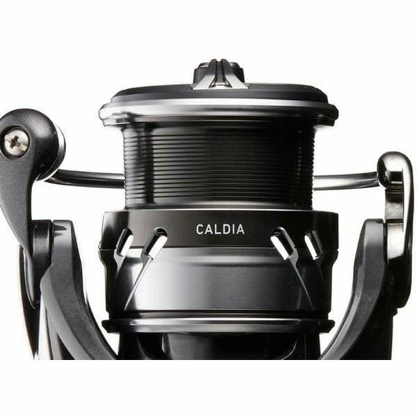 Role DAIWA 18 Caldia LT 5 Role DAIWA 18 Caldia LT