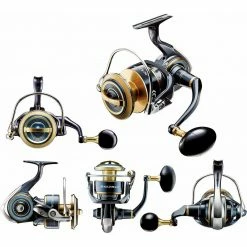 Role DAIWA 20 Saltiga (G)