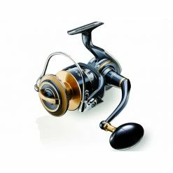 Role DAIWA 20 Saltiga (G)