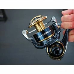 Role DAIWA 20 Saltiga (G)