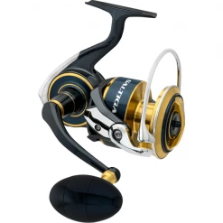 Role DAIWA 20 Saltiga (G)