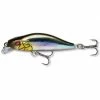 Vobler Varalice DAIWA Prorex Flat Minnow 50 SS 5cm 4.8g 2 Vobler Varalice DAIWA Prorex Flat Minnow 50 SS 5cm 4.8g
