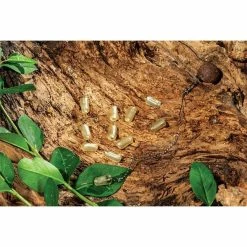 Elementi Za Sisteme ExtraCarp KNOT PROTECTORS