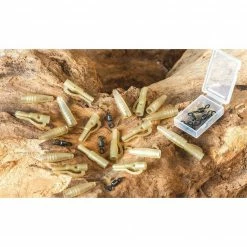 ExtraCarp LEAD CLIP EXTRA