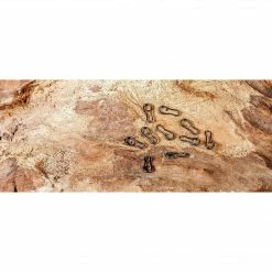 ExtraCarp MULTI CLIP Elementi Za Sisteme