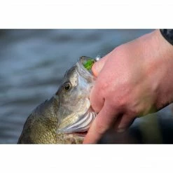 Fox Rage Micro Jig Heads 5pcs Jig Glave / Udice