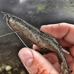 KEITECH Bass & Pike Scented Soft Bait Lure Noisy Flapper 3.5