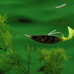 KNOT 2 KINKY Fishing Advanced Stretch TITANIUM Leader Wire 8 KNOT 2 KINKY Fishing Advanced Stretch TITANIUM Leader Wire