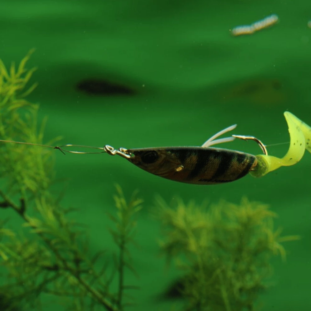 KNOT 2 KINKY Fishing Advanced Stretch TITANIUM Leader Wire 5 KNOT 2 KINKY Fishing Advanced Stretch TITANIUM Leader Wire