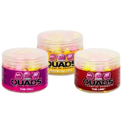 Mainline QUADS POP-UP