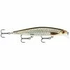 Rapala Shadow Rap SDR11 ROL ( Live Roach ) 2 Rapala Shadow Rap SDR11 ROL ( Live Roach )
