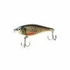 Rapala Twitchin Shad XRTS08 ROL