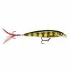 Rapala X-Rap XR04 PEL ( Live Perch )