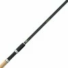 SENSAS Black Arrow 900 12ft M 2pcs Rod
